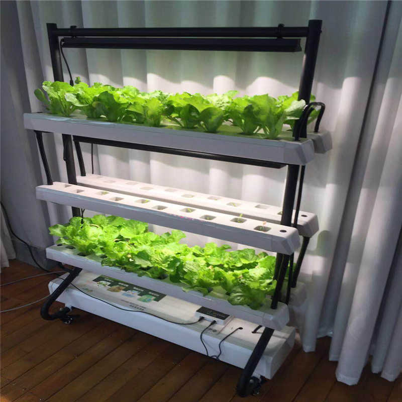 Vertical hydroponics grow system