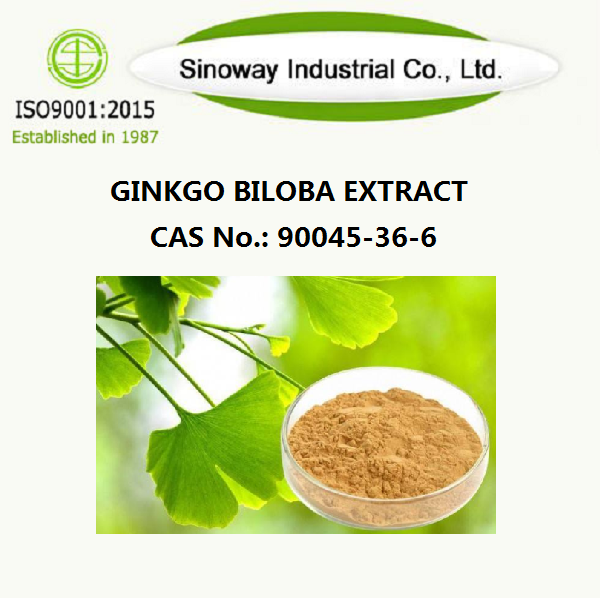 Εκχύλισμα Ginkgo Biloba 90045-36-6