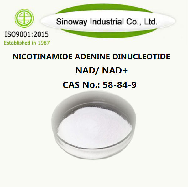 Νικοτιναμίδη Αδευνοειδής δινουκλεοτίδιο 53-84-9