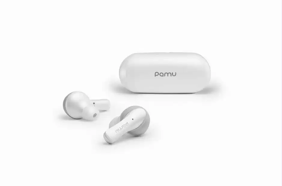 Pamu Slide Mini Bluetooth 5.0 Αληθινό ασύρματο ακουστικό με ασύρματη περίπτωση φόρτισης