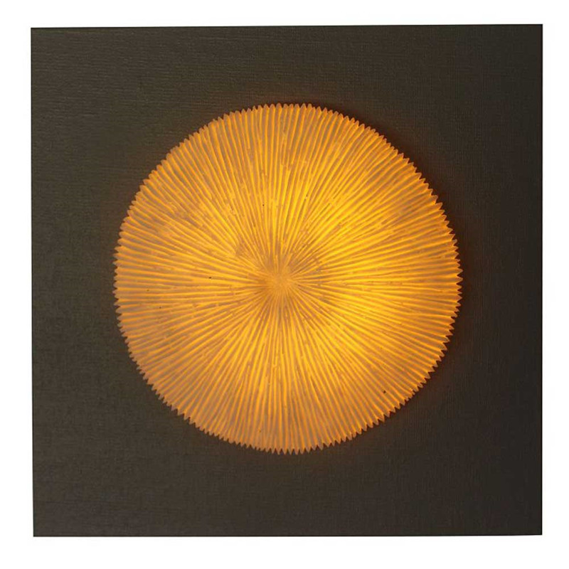 Τέχνη Τέχνη με ραβδώσεις κοραλλιογενών MDF ξύλινο πλάκα με φως LED