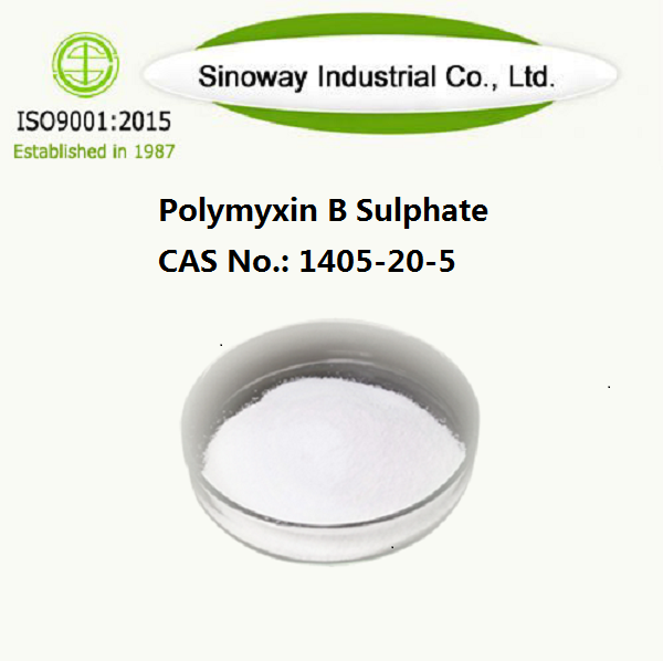 Polymyxin B Sulphate 1405-20-5