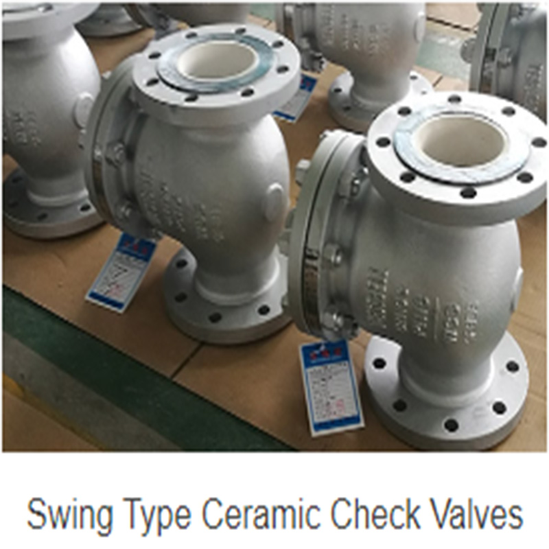 Custom Ceramic Check Valves China